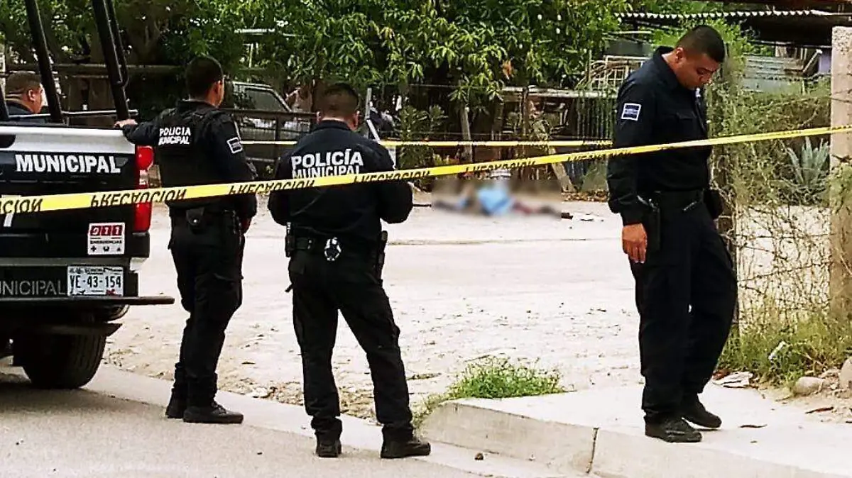 asesinato en las amapolas